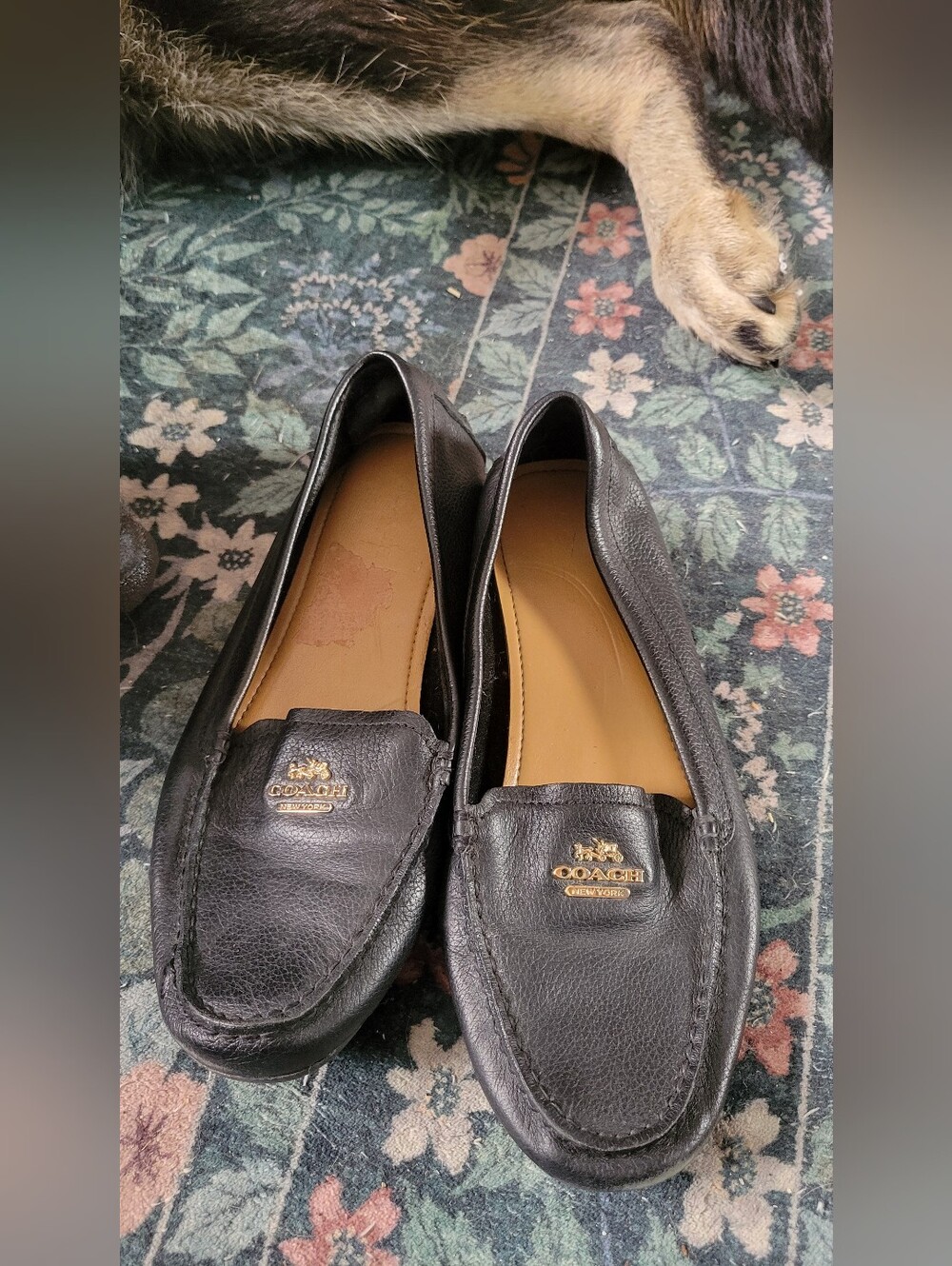Coach Loafers